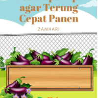 Beberapa Tips agar Terung Cepat Panen