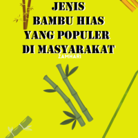 Jenis Bambu Hias yang Populer di Masyarakat