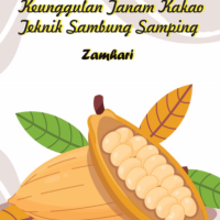 Keunggulan Tanam Kakao Teknik Sambung Samping