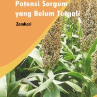 Memaksimalkan Potensi Sorgum yang Belum Tergali