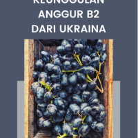 Keunggulan Anggur B2 dari Ukraina