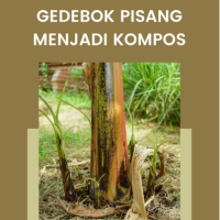 Pemanfaatan Gedebok Pisang Menjadi Kompos