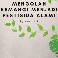 Mengolah Kemangi Menjadi Pestisida Alami