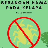 5 Cara Efektif Menghalau Serangan Hama pada Kelapa