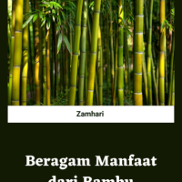 Beragam Manfaat dari Bambu