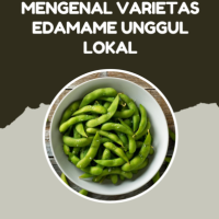 Mengenal Varietas Edamame Unggul Lokal