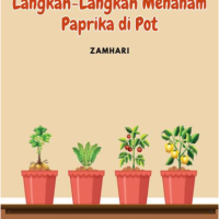 Langkah-Langkah Menanam Paprika di Pot