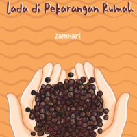 Kiat Sukses Menanam Lada di Pekarangan Rumah