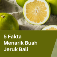 5 Fakta Menarik Buah Jeruk Bali