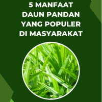 5 Manfaat Daun Pandan yang Populer di Masyarakat