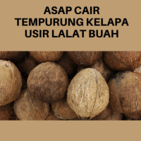 Asap Cair Tempurung Kelapa Usir Lalat Buah