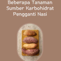 Beberapa Tanaman Sumber Karbohidrat Pengganti Nasi
