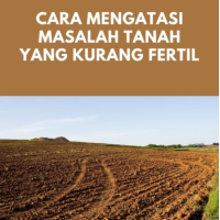 Cara Mengatasi Masalah Tanah yang Kurang Fertil