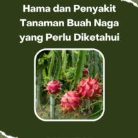 Hama dan Penyakit Tanaman Buah Naga yang Perlu Diketahui