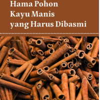 Hama Pohon Kayu Manis yang Harus Dibasmi