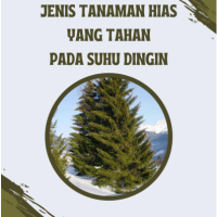 Jenis Tanaman Hias yang Tahan pada Suhu Dingin
