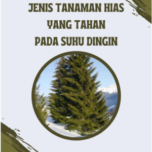 Jenis Tanaman Hias yang Tahan pada Suhu Dingin