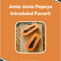 Jenis-Jenis Pepaya Introduksi Favorit