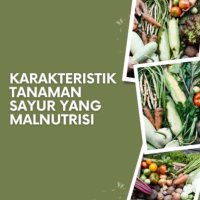 Karakteristik Tanaman Sayur yang Malnutrisi