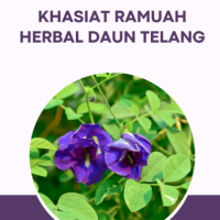 Khasiat Ramuah Herbal Daun Telang