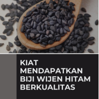 Kiat Mendapatkan Biji Wijen Hitam Berkualitas