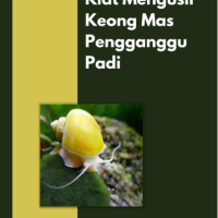 Kiat Mengusir Keong Mas Pengganggu Padi