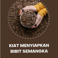 Kiat Menyiapkan Bibit Semangka