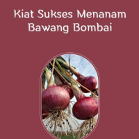 Kiat Sukses Menanam Bawang Bombai