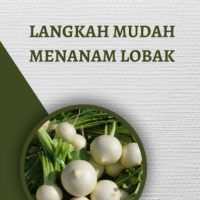 Langkah Mudah Menanam Lobak