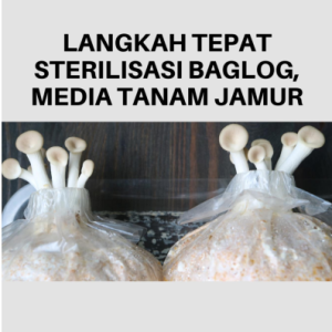 Langkah Tepat Sterilisasi Baglog, Media Tanam Jamur