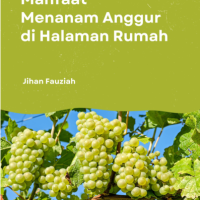 Manfaat Menanam Anggur di Halaman Rumah