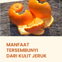 Manfaat Tersembunyi dari Kulit Jeruk