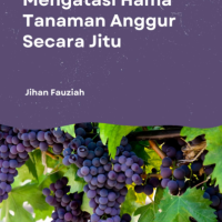 Mengatasi Hama Tanaman Anggur Secara Jitu