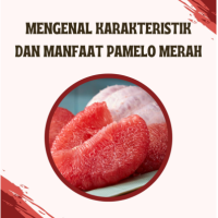 Mengenal Karakteristik dan Manfaat Pamelo Merah