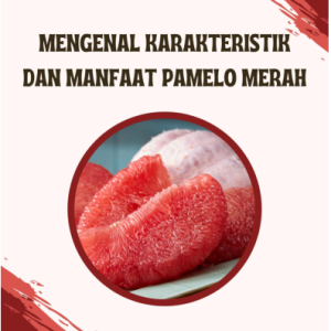 Mengenal Karakteristik dan Manfaat Pamelo Merah