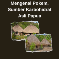 Mengenal Pokem, Sumber Karbohidrat Asli Papua