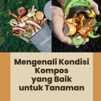 Mengenali Kondisi Kompos yang Baik untuk Tanaman
