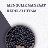 Mengulik Manfaat Kedelai Hitam