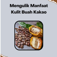 Mengulik Manfaat Kulit Buah Kakao