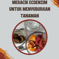 Meracik Ecoenzim untuk Menyuburkan Tanaman