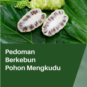 Pedoman Berkebun Pohon Mengkudu