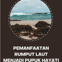 Pemanfaatan Rumput Laut Menjadi Pupuk Hayati