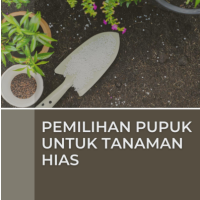 Pemilihan Pupuk untuk Tanaman Hias