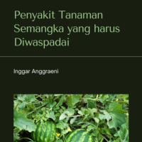 Penyakit Tanaman Semangka yang harus Diwaspadai