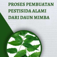 Proses Pembuatan Pestisida Alami dari Daun Mimba