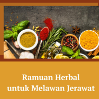 Ramuan Herbal untuk Melawan Jerawat
