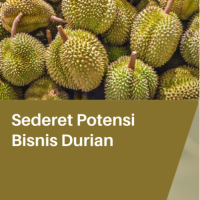 Sederet Potensi Bisnis Durian