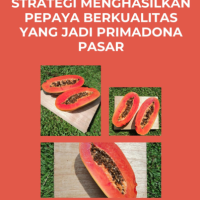 Strategi Menghasilkan Pepaya Berkualitas yang Jadi Primadona Pasar