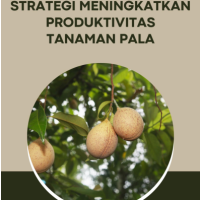 Strategi Meningkatkan Produktivitas Tanaman Pala
