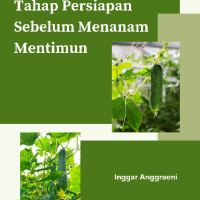 Tahap Persiapan Sebelum Menanam Mentimun